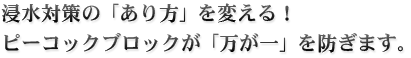 浸水対策の「あり方」を変える！ピーコックブロックが「万が一」を防ぎます