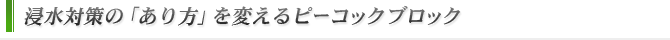 浸水対策の「あり方」を変えるピーコックブロック