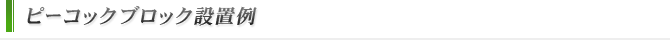 ピーコックブロック設置例
